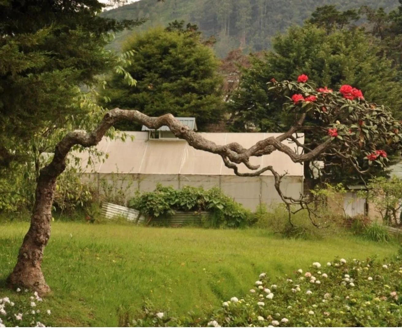 Breeze Holiday Apartment Nuwara Eliya Sri Lanka